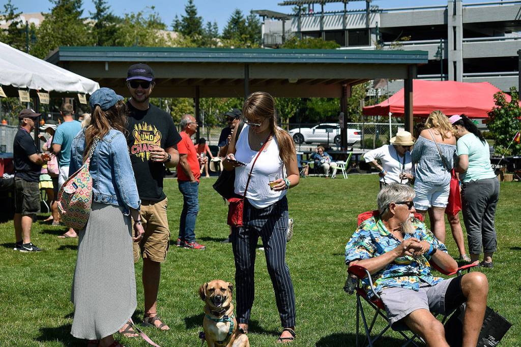 Rhythm and Brews was a great place for dogs to enjoy the warm weather too. Haley Donwerth/staff photo