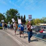 Grocery store workers picket across King County
