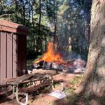Crews responded to a blaze behind the ranger station at Dash Point State Park on Monday evening. Photo courtesy of South King Fire and Rescue