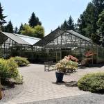 Federal Ways Rhododendron Garden has been serving the community for 40 years, and is excited to continue doing so as they partner with landowners IRG. Haley Donwerth/staff photo