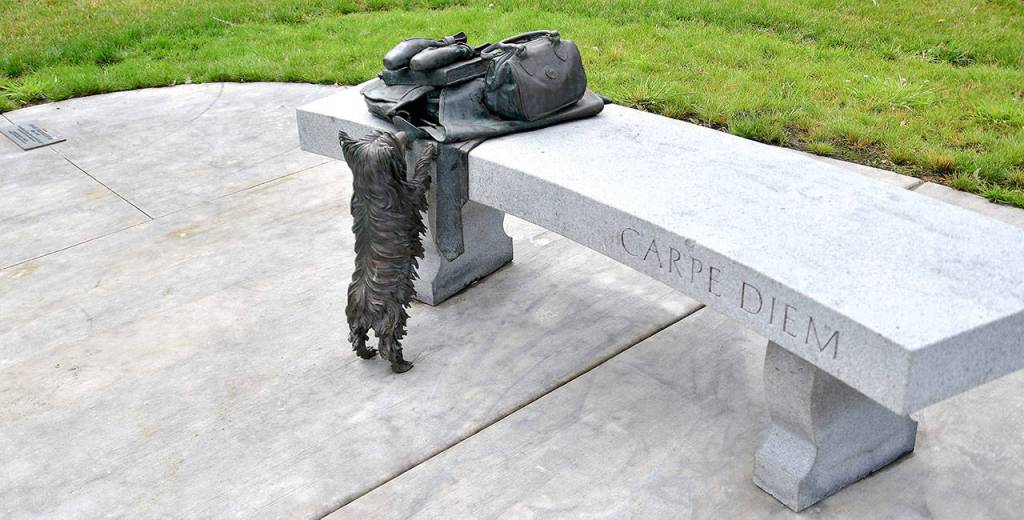 All alumni picnic welcomes Federal Way grads