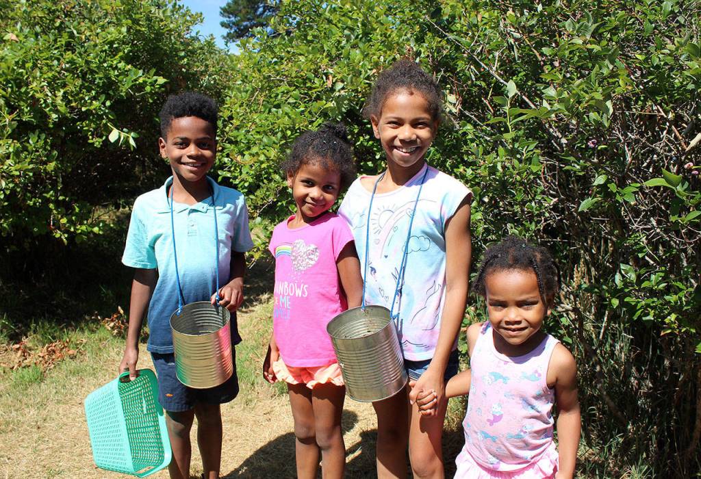 From left: Guerrier siblings August, Nora, Ava and Mona explore the Higher Taste Blueberry Farm on a sunny August afternoon. Olivia Sullivan/staff photo