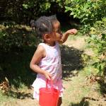 Preserving the 65-year tradition of Higher Taste Blueberry Farm