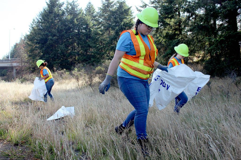 Madelyn Drangstviet, 14, searches for litter along SR 18 during a work day with the Ecology Youth Corps program on Aug. 20. Olivia Sullivan/staff photo