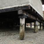 Redondos restroom facilities sit atop timber piles along the waterfront. Olivia Sullivan/staff photo