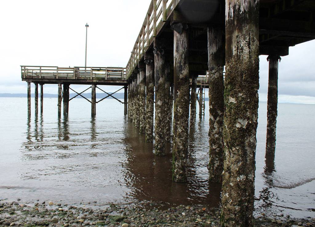 The structural integrity of the fishing piers timber piles has been deteriorating due to environmental impacts over time. Olivia Sullivan/staff photo