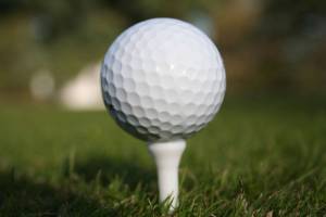 Decatur girls golf outshines Federal Way at Tuesday match