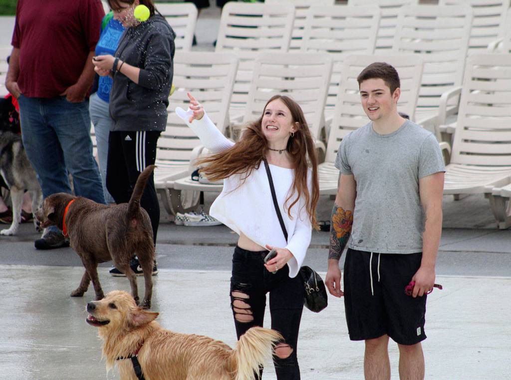 A girl tosses a tennis ball into the water for her dog to retrieve at Paw-Pool-Ooza on Sept. 14. Olivia Sullivan/staff photo