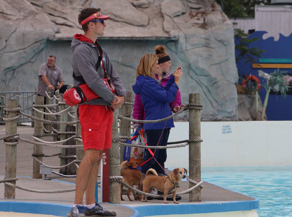 Lifeguards on duty watched over the swimming areas at Wild Waves on Sept. 14. Olivia Sullivan/staff photo