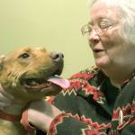 Stolen rescue dog, lost peacock reunited with owners