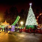 More than a million twinkling lights illuminate rides and attractions at Wild Waves last December. The business has canceled their annual Holiday of Lights display this year due to inclement weather and low attendance in previous years. Photo courtesy of Wild Waves