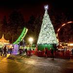 Lights out for Wild Waves holiday display in Federal Way this December