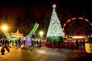 Lights out for Wild Waves holiday display in Federal Way this December