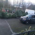 Federal Way police nab Christmas tree thief