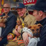 Left to right: South King Fire and Rescue members Dean Fuller, Cory Freeborn and David Mataftin supply some cuddles for Resilient Hearts Animal Sanctuary rescue puppies on Jan. 8. Photo courtesy of Gordon Fox