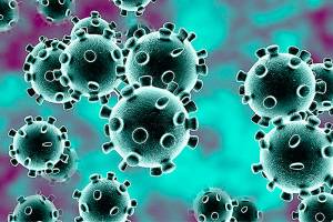 If the coronavirus makes it to Federal Way, how will the city respond?
