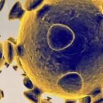 King County cancels most in-person meetings, moves to Skype