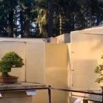 Serenity on screen: Pacific Bonsai Museum closed to public, offers virtual tours