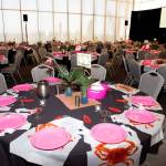 Photo courtesy of MSC