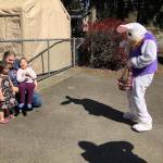 Marianna Tinza, 13, dressed in a bunny costume to visit local families on April 12. Courtesy photo