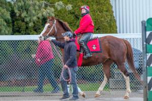 Emerald Downs to open for horse racing June 22