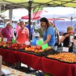 Market visitors shop at a local produce stall at the Federal Way Farmers Market in 2019. Photo courtesy of Shelley Pauls