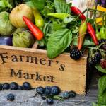 Federal Way Farmers Market to open 18th season with new safety guidelines