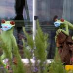 By the numbers: How is COVID-19 affecting Federal Way?