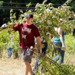 Volunteers helped prune, weed, trim and clean up the Hylebos Blueberry Farm Park patch in 2019. Photo courtesy of Shelley Pauls