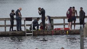 South King Fire rescue swimmers search for a man underwater at Steel Lake Park on Aug. 8. Photo courtesy of South Sound Media Production