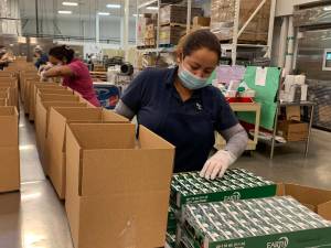 Photo courtesy of FWPS