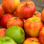 Well-fed at the Federal Way Farmers Market: Cran-Apple Butter