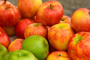 Well-fed at the Federal Way Farmers Market: Cran-Apple Butter