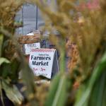 Photo courtesy of Bruce Honda