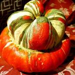 Photo courtesy of Vickie Chynoweth