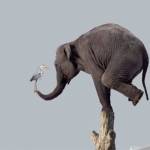 An artists conception of the proposed sculpture to be placed in the pedestrian plaza of the incoming Federal Way Link Extension.