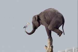 An artists conception of the proposed sculpture to be placed in the pedestrian plaza of the incoming Federal Way Link Extension.