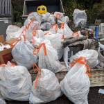 Photo courtesy of the City of Federal Way