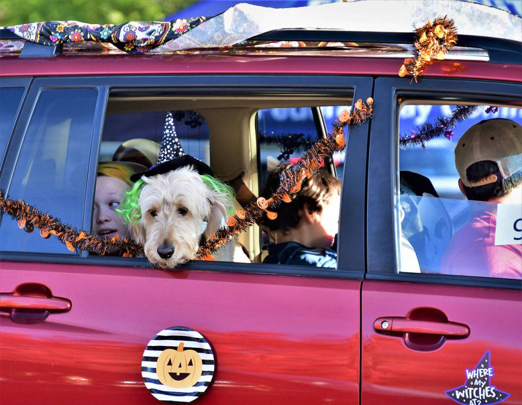 Photo courtesy of Bruce Honda