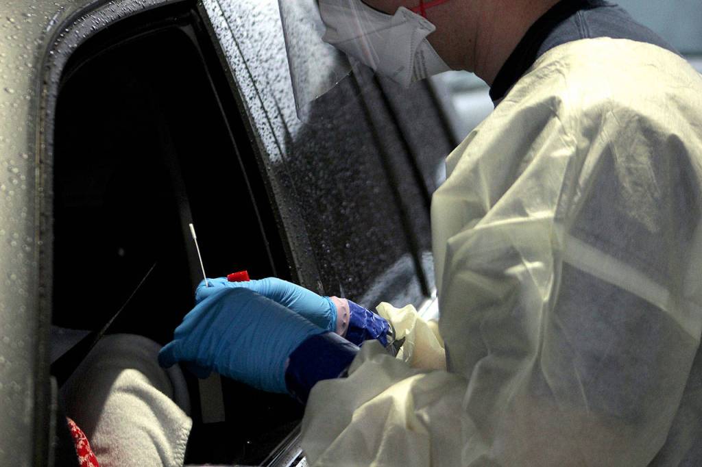 Firefighter Blake Gillespie of South King Fire holds a swab before administering a COVID-19 test on Nov. 18. Olivia Sullivan/the Mirror