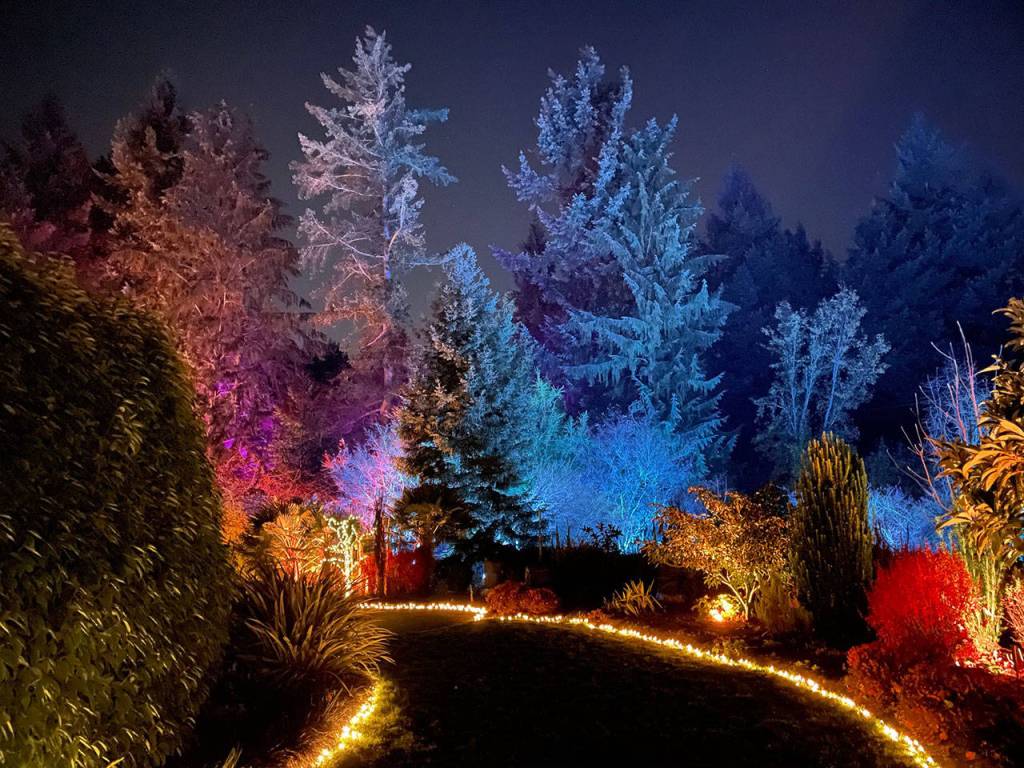 Photo courtesy of Justin Henderson