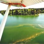 June 2018 algae bloom. Photo courtesy of Department of Ecology