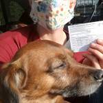 Firefighter Ann Hoag and her dog, Baker, pictured during the 15-minute wait period after Ann received her second dose of the Pfizer vaccine on Jan. 11. Courtesy photo