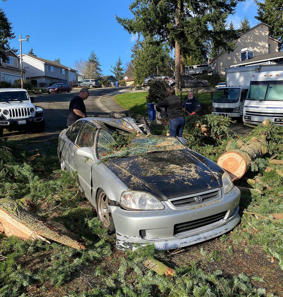 Friends and neighbors pitched in to help remove the tree from the vehicle and roadway on Jan. 13. Olivia Sullivan/the Mirror