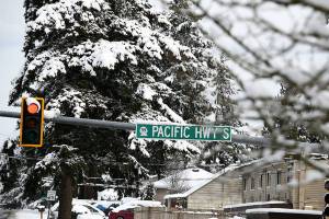 Snow covered trees in Federal Way during the snowstorm in February. Photo courtesy of Shelley Pauls