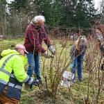 Photo courtesy of Shelley Pauls