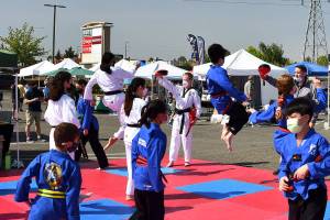 Photo by Shelley Pauls