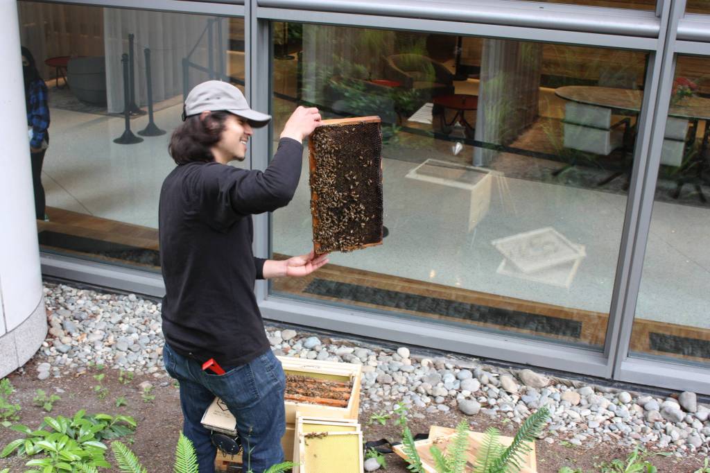In the background is a Seattle skyscraper, people often walked by to watch Pedro Miola as he worked. (Photo by Cameron Sheppard)