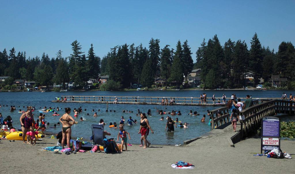 Dozens of people flocked to Steel Lake to enjoy, and escape, the record temperatures on June 28. Olivia Sullivan/the Mirror