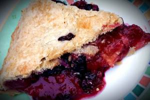 Photo courtesy of Vickie Chynoweth